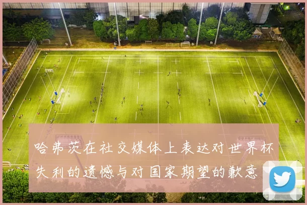 哈弗茨在社交媒体上表达对世界杯失利的遗憾与对国家期望的歉意